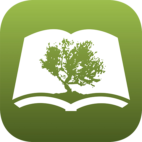 Bible by olive tree
